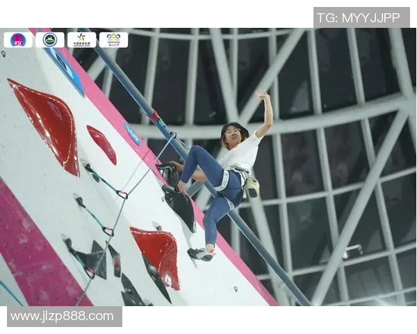 广州攀岩队团队协作探索：攀登高峰中的默契与信任之旅