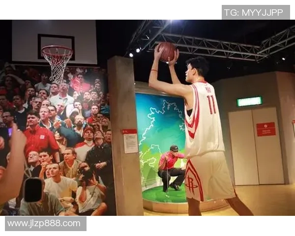 杨军独家分享排球心得与技巧提升之道助你成为场上明星