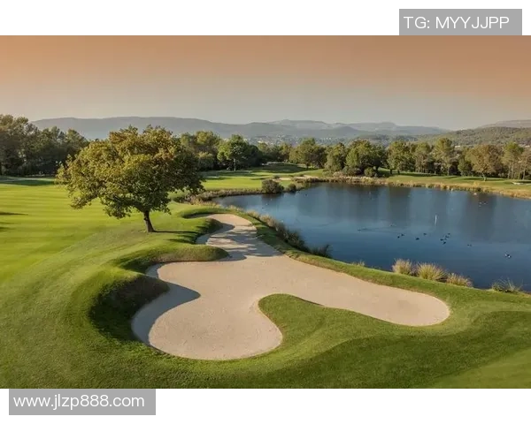 足球休姆的魅力与挑战探索球场背后的故事与精神