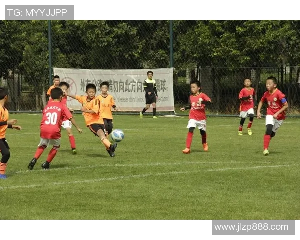 足球刘禹：从草根球员到职业联赛的奋斗历程与梦想追逐