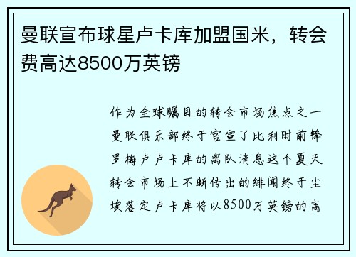 曼联宣布球星卢卡库加盟国米，转会费高达8500万英镑